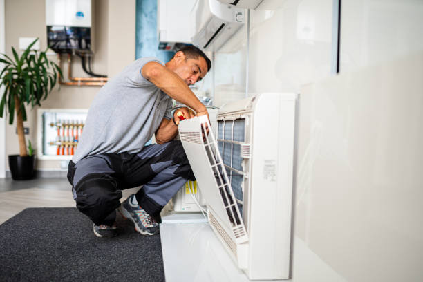 Best HVAC Duct Inspection Services  in Le Roy, IL